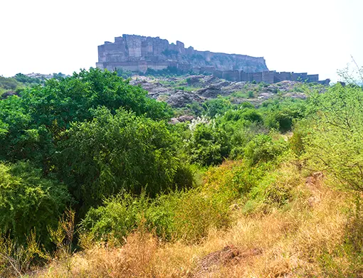 Rao Jodha Desert Rock Park