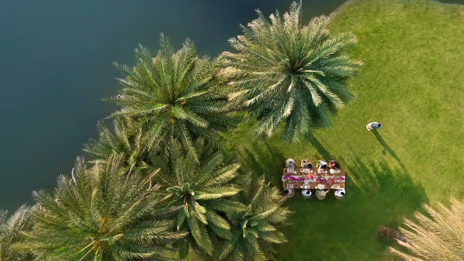 mementosudaipur-gallery-overview-magicalforest copy.webp