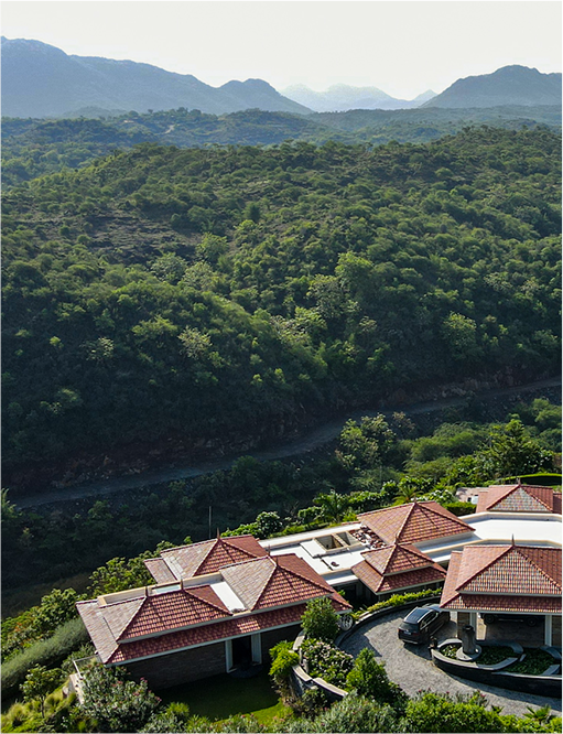 The Royal Afghan - Poolside Barbeque